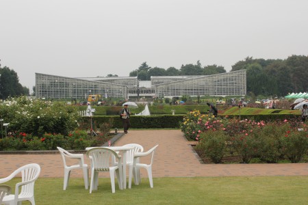 バラ園 バラ園